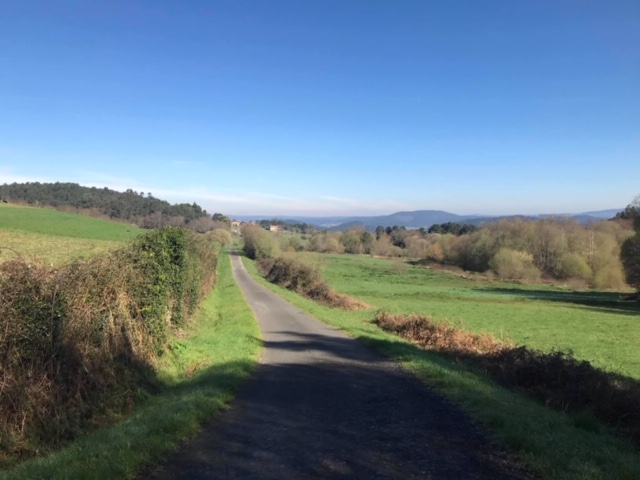 Pensamientos de febrero: no tendrás nada que temer ni nada que desear…