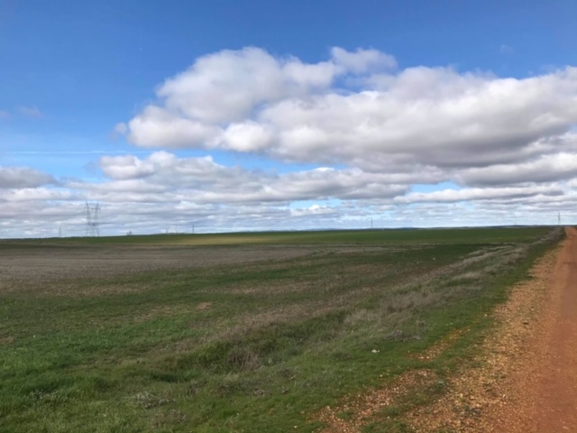 Pensamientos de febrero: jamás queda sin efecto un buen pensamiento…