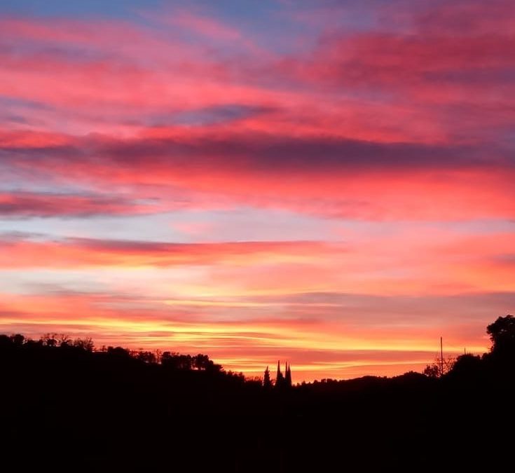 Pensamientos de marzo: alimentar la llama