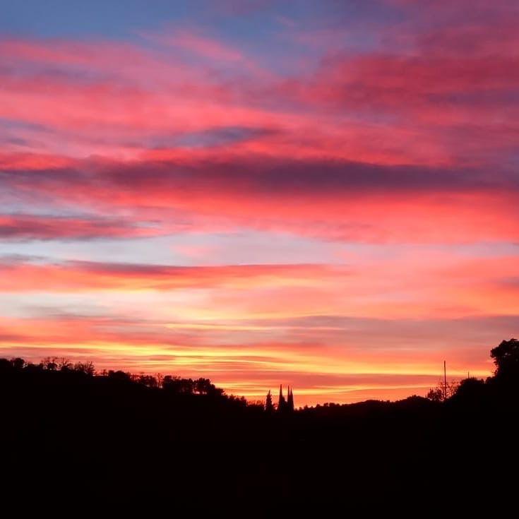 Pensamientos de marzo: alimentar la llama