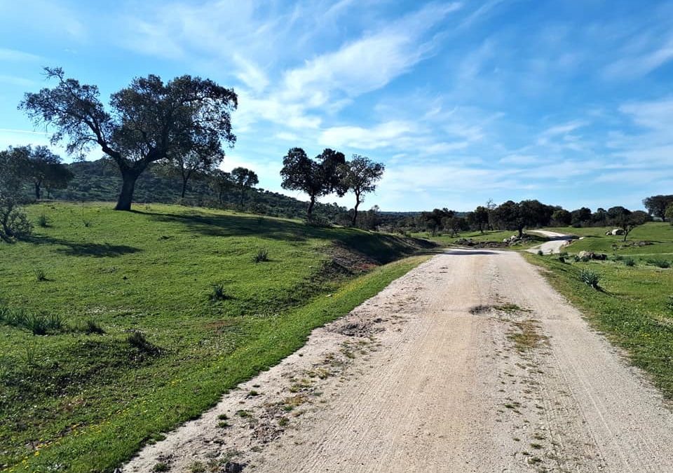 Pensamientos de marzo: restablecer el dominio