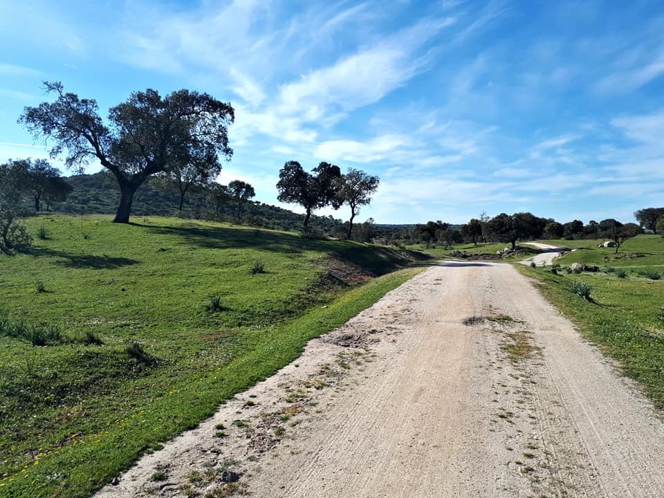 Pensamientos de marzo: restablecer el dominio