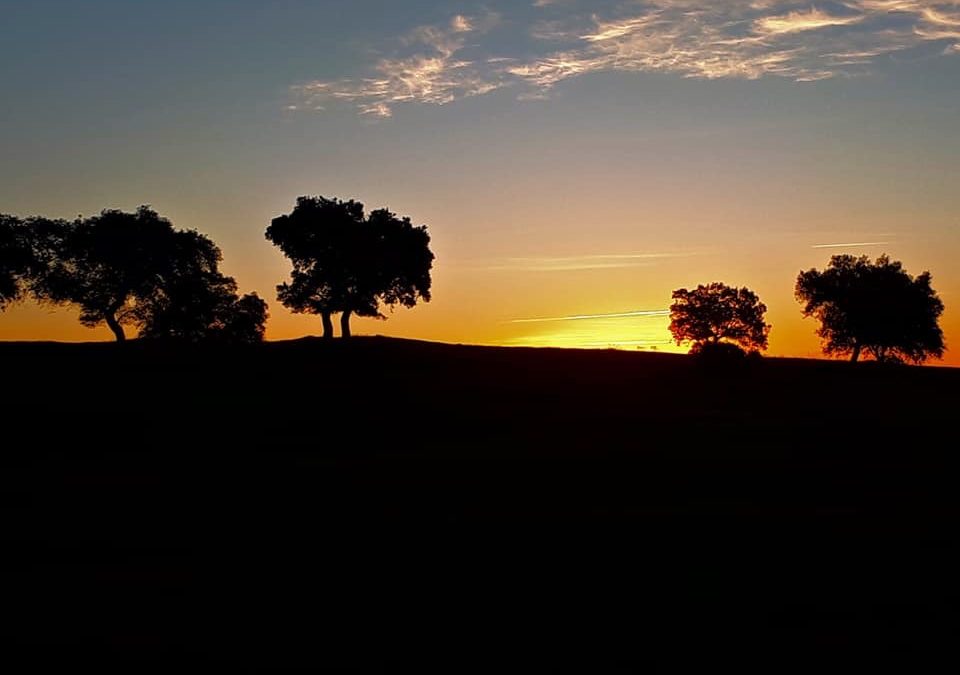 Pensamientos de marzo: el sol como modelo