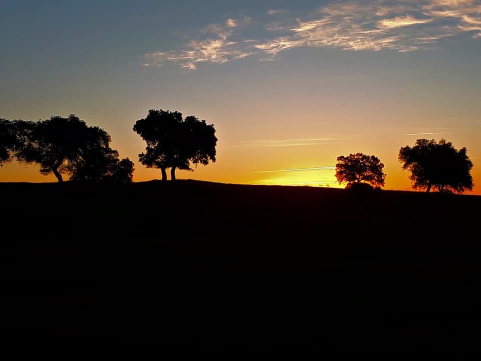 Pensamientos de marzo: el sol como modelo