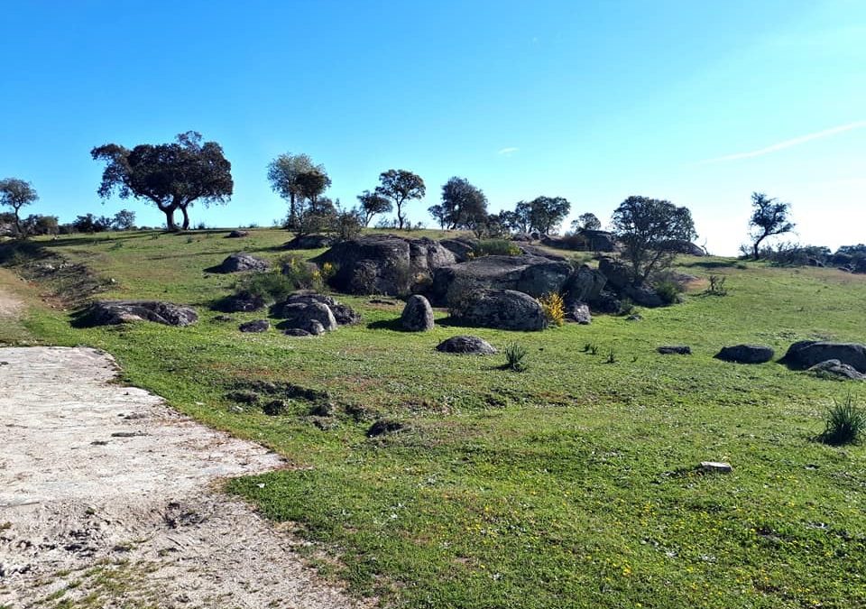 Pensamientos de marzo: en el umbral de nuevos logros