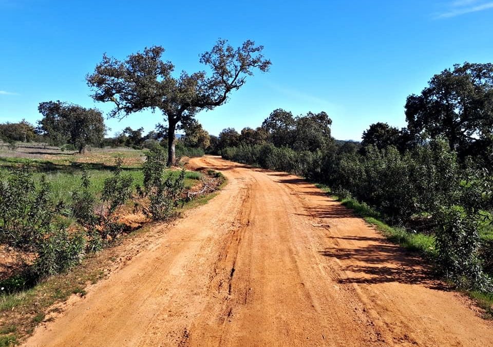 Pensamientos de marzo: las riquezas del cielo afluyen