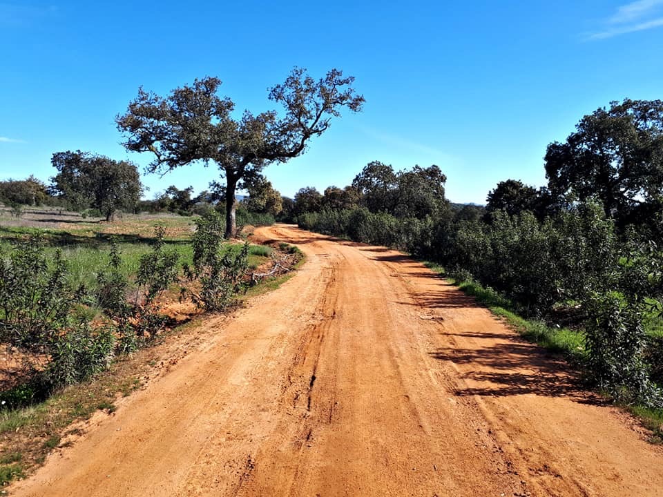 Pensamientos de marzo: las riquezas del cielo afluyen
