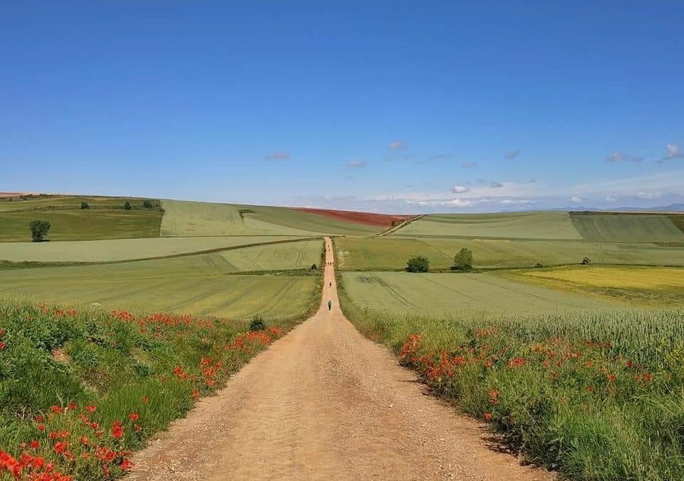 Pensamientos de marzo: alimentarse de alimentos, sentimientos y pensamientos puros