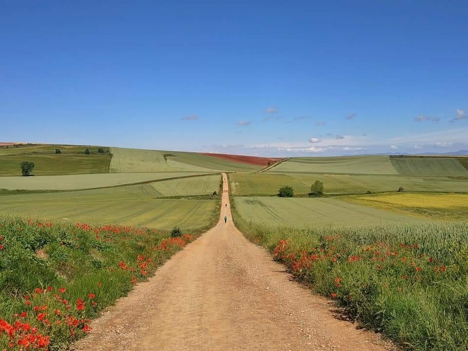 Pensamientos de marzo: alimentarse de alimentos, sentimientos y pensamientos puros