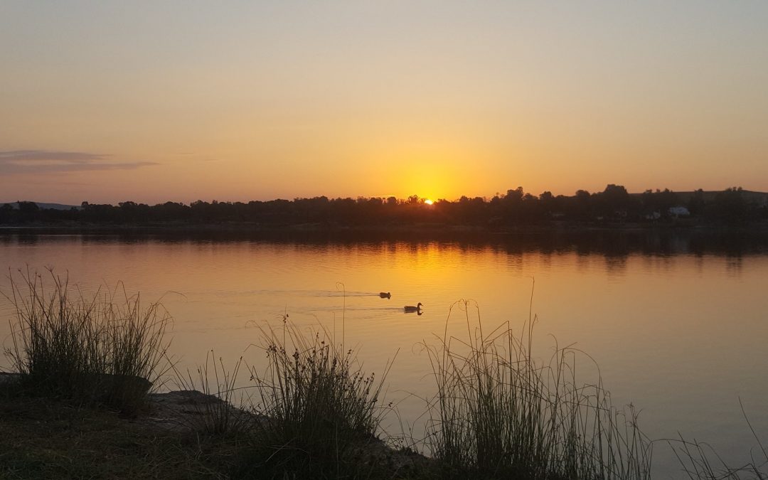 Pensamientos de marzo: un manantial inunda todas vuestras células