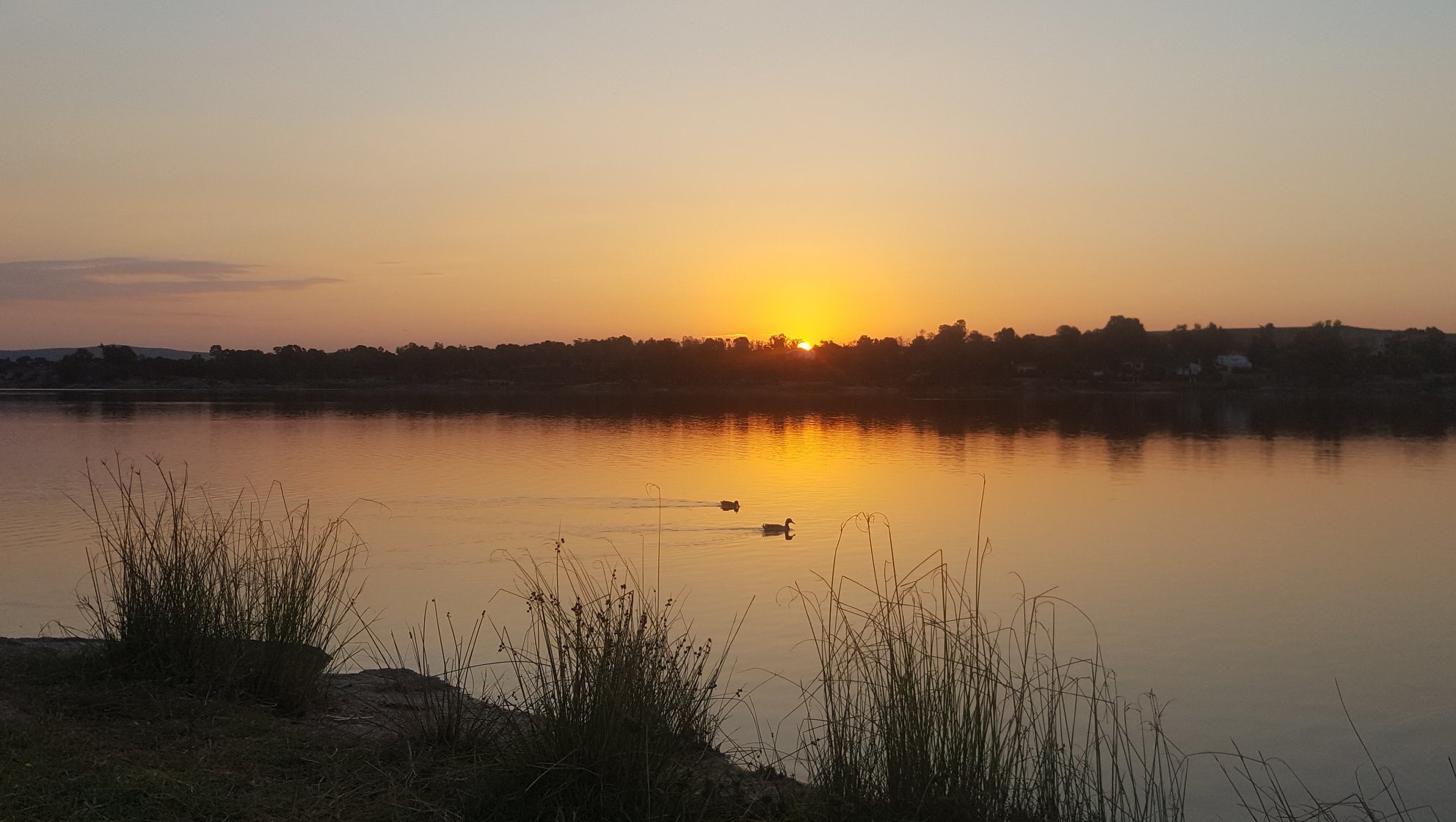 Pensamientos de marzo: un manantial inunda todas vuestras células