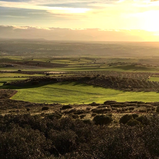 Pensamientos de marzo: seguid vuestra naturaleza superior
