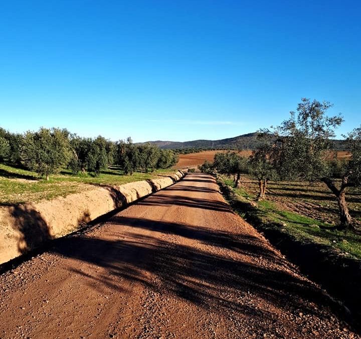 Pensamientos de marzo: trabajar sobre las causas