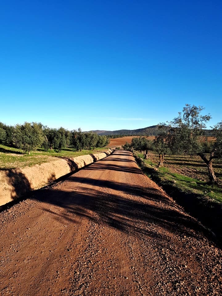 Pensamientos de marzo: trabajar sobre las causas