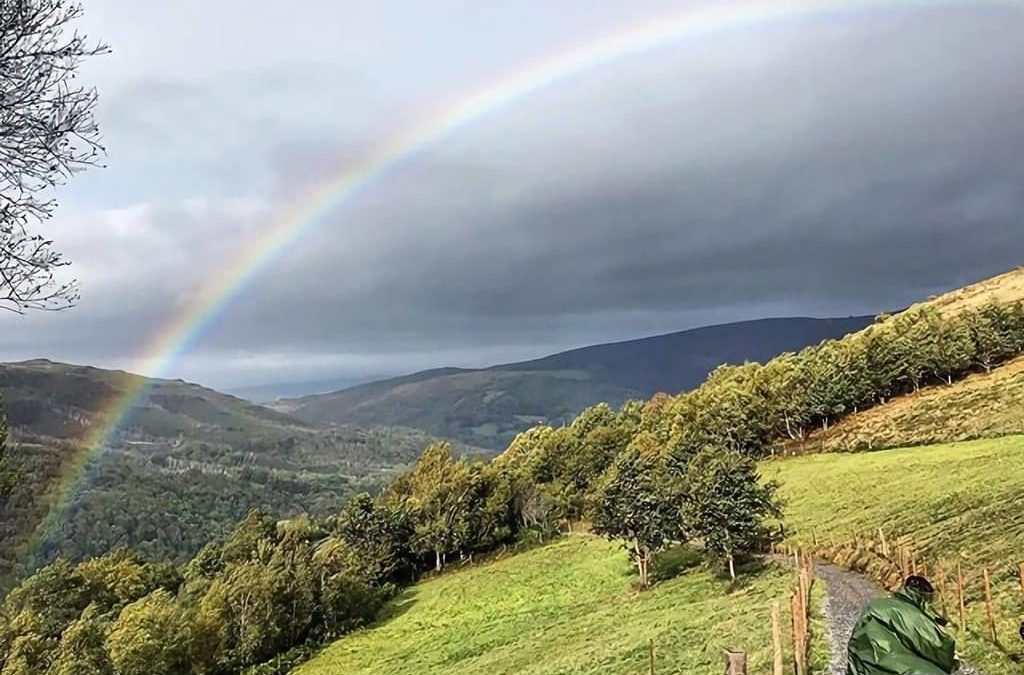 Pensamientos de abril: algo se ilumina de repente en vosotros…