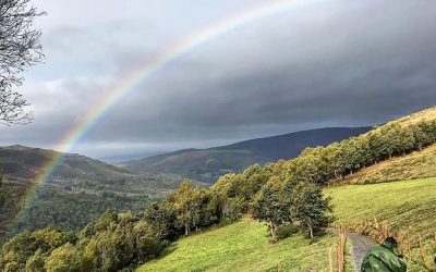 Pensamientos de abril: algo se ilumina de repente en vosotros…