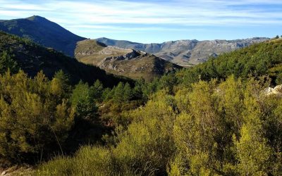 Pensamientos de abril: aproximaros a vuestro propio centro…