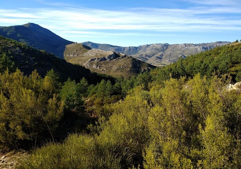 Pensamientos de abril: aproximaros a vuestro propio centro…