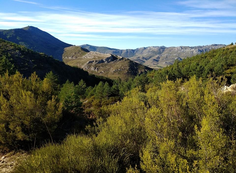 Pensamientos de abril: aproximaros a vuestro propio centro…
