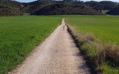 Pensamientos de abril: todo será fácil si…