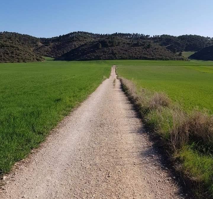 Pensamientos de abril: todo será fácil si…