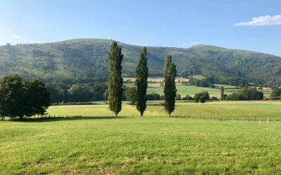 Pensamientos de abril: comer con consciencia