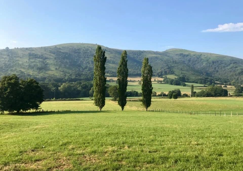 Pensamientos de abril: comer con consciencia