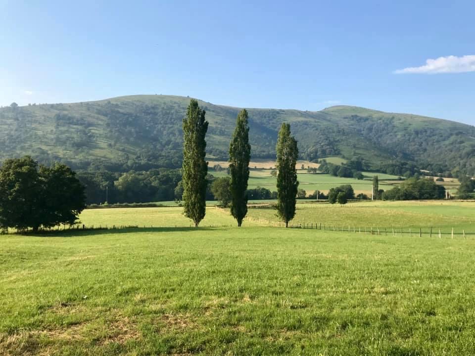 Pensamientos de abril: comer con consciencia