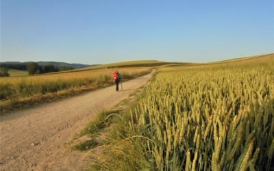 Pensamientos de abril: la palabra interior