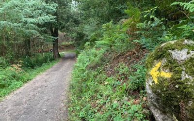 Pensamientos de abril: llegarás a las montañas