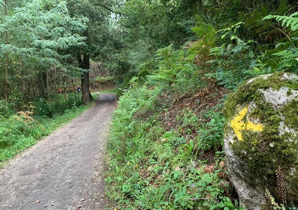 Pensamientos de abril: llegarás a las montañas