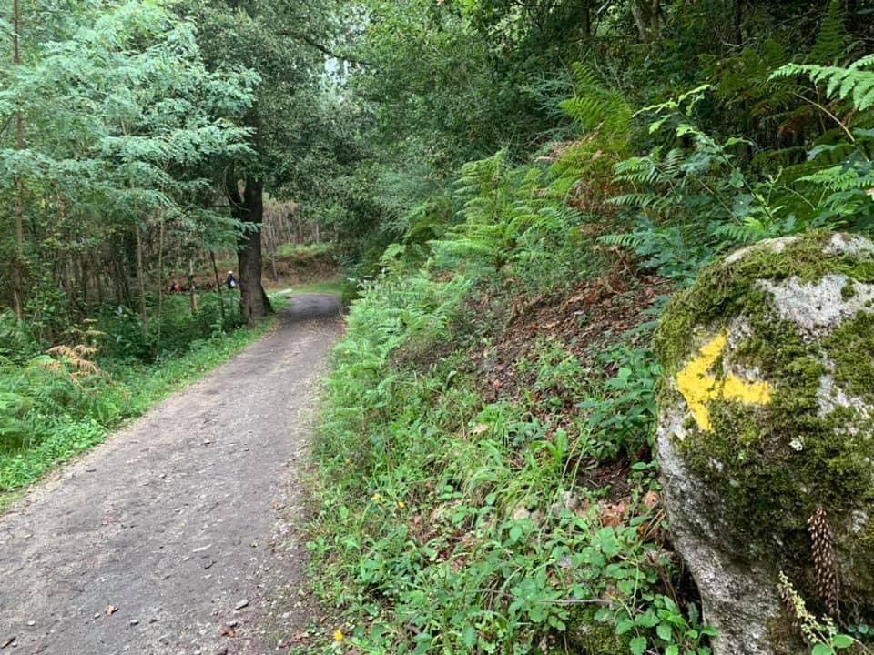 Pensamientos de abril: llegarás a las montañas