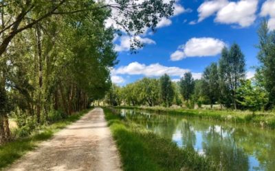 Pensamientos de abril: espíritus luminosos, tengo necesidad de vosotros…