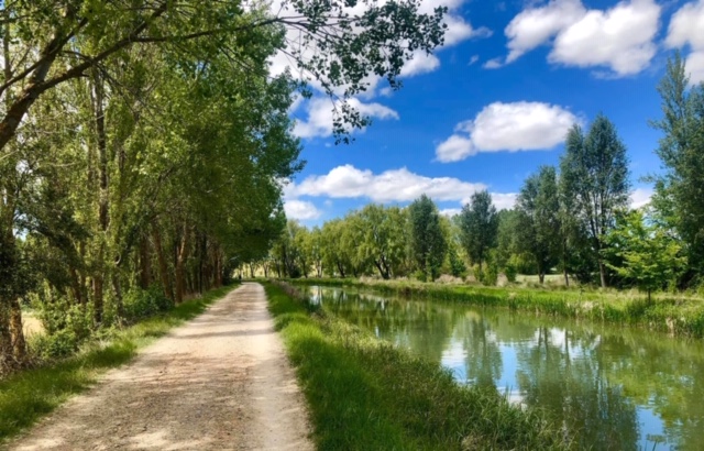 Pensamientos de abril: espíritus luminosos, tengo necesidad de vosotros…