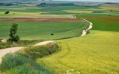 Pensamientos de abril: el alma y el espíritu del hombre son de esencia divina…