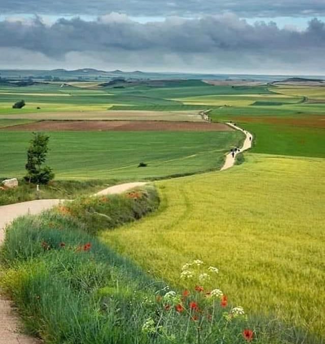 Pensamientos de abril: el alma y el espíritu del hombre son de esencia divina…