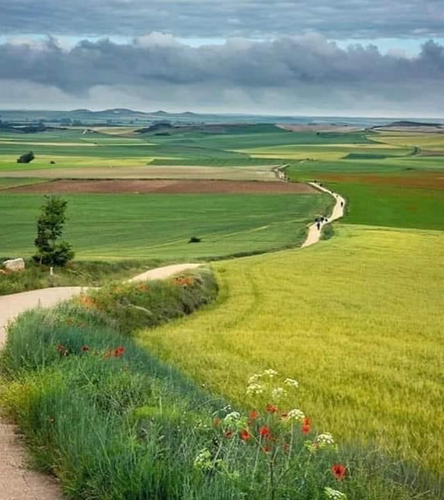 Pensamientos de abril: el alma y el espíritu del hombre son de esencia divina…