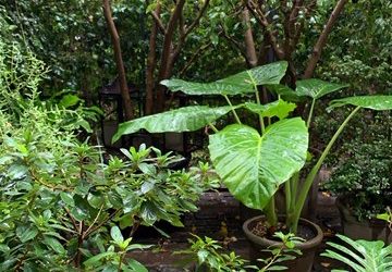 Pensamientos de abril: si trabajáis con la luz…