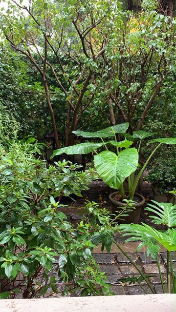 Pensamientos de abril: si trabajáis con la luz…