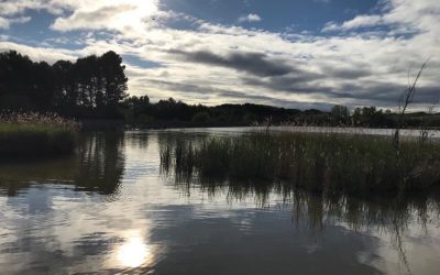 Pensamientos de abril: elevaros mediante el pensamiento hasta una cima…