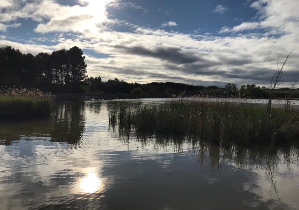 Pensamientos de abril: elevaros mediante el pensamiento hasta una cima…