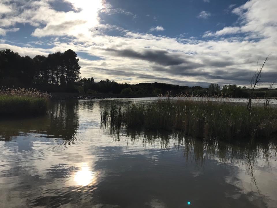 Pensamientos de abril: elevaros mediante el pensamiento hasta una cima…