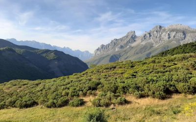 Pensamientos de abril: bienvenidos, espíritus luminosos…