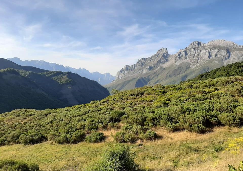 Pensamientos de abril: bienvenidos, espíritus luminosos…