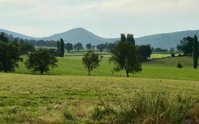 Pensamientos de abril: realizar el Reino en la tierra