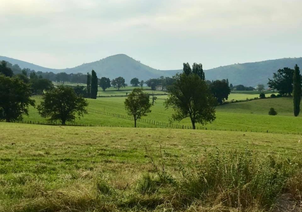 Pensamientos de abril: realizar el Reino en la tierra