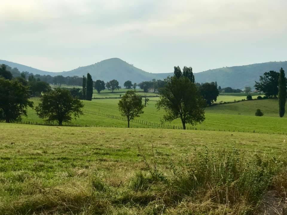 Pensamientos de abril: realizar el Reino en la tierra