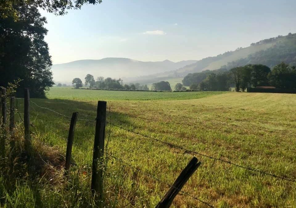 Pensamientos de abril: este será el día más hermoso de la historia de la humanidad…