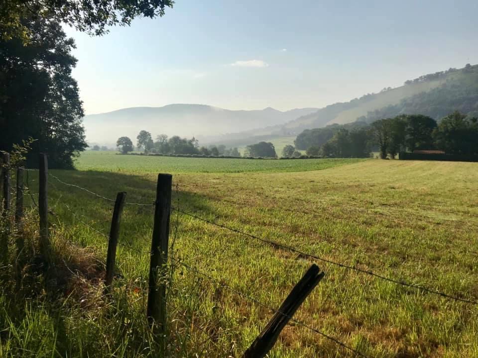 Pensamientos de abril: este será el día más hermoso de la historia de la humanidad…