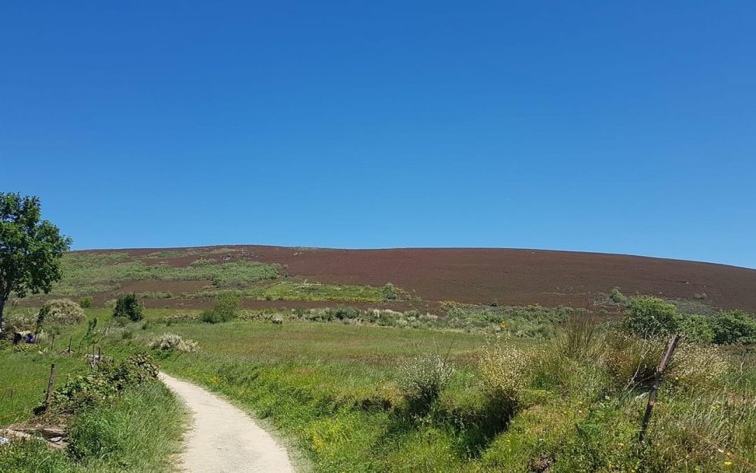 Pensamientos de abril: te pido gracia y fortaleza…